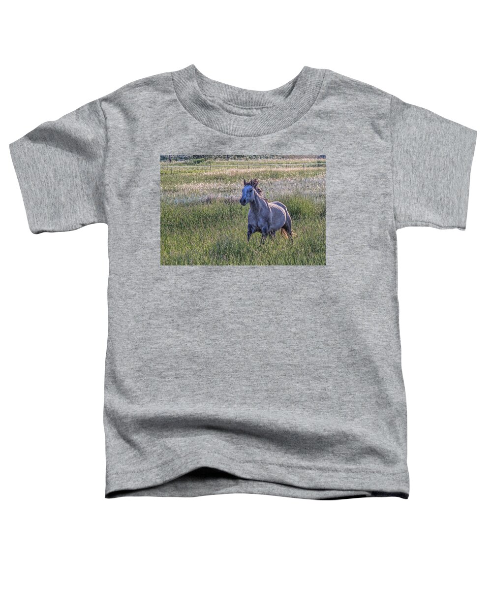 Equine Toddler T-Shirt featuring the photograph Silver Dun by Alana Thrower