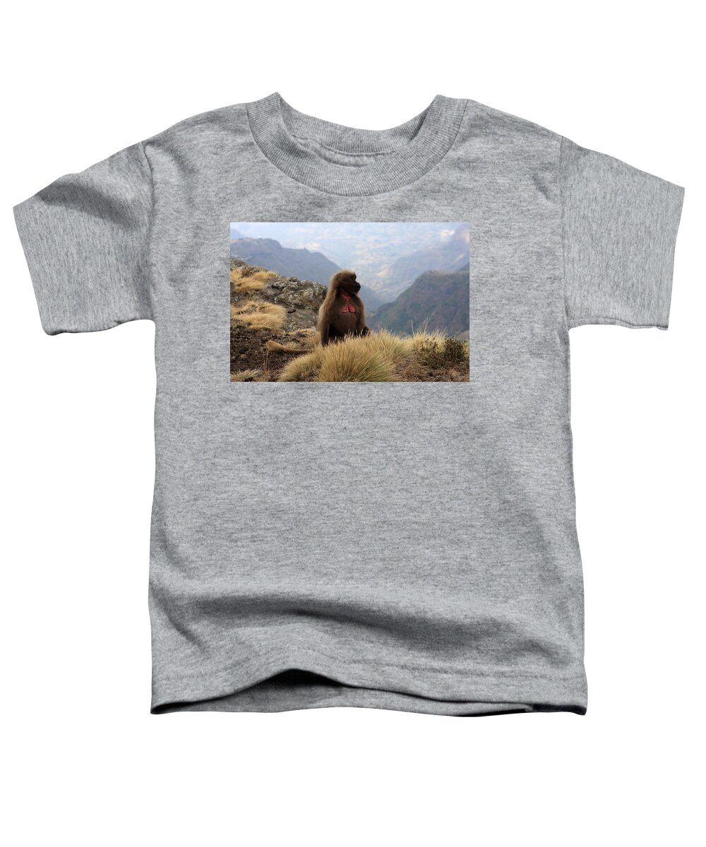 Simien Mountains National Park Toddler T-Shirt featuring the photograph Simien Mountain Gelada Baboon by Aidan Moran