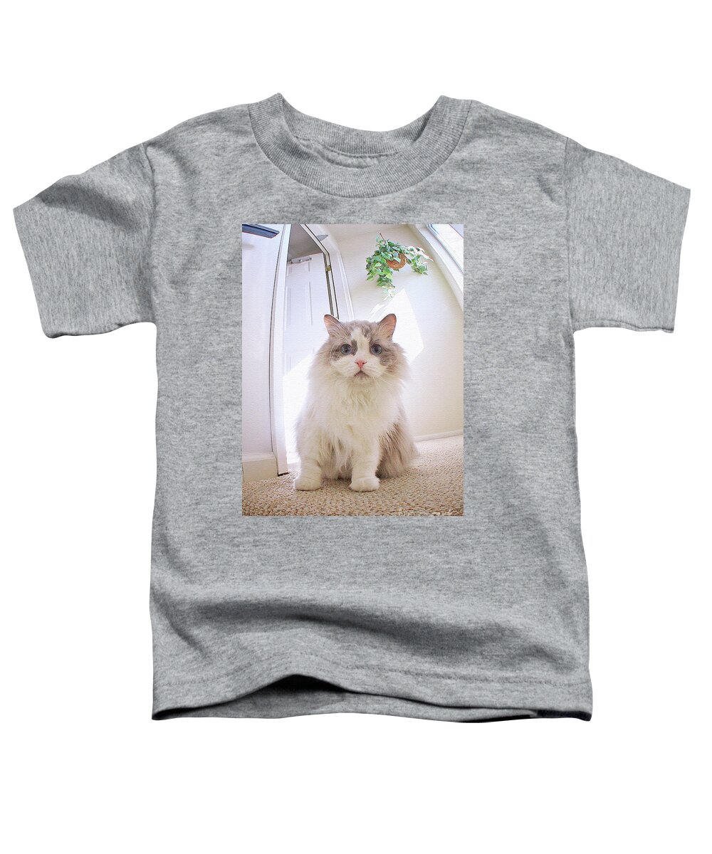 Ragamuffins Toddler T-Shirt featuring the photograph Simply Beautiful by Geoff Crego