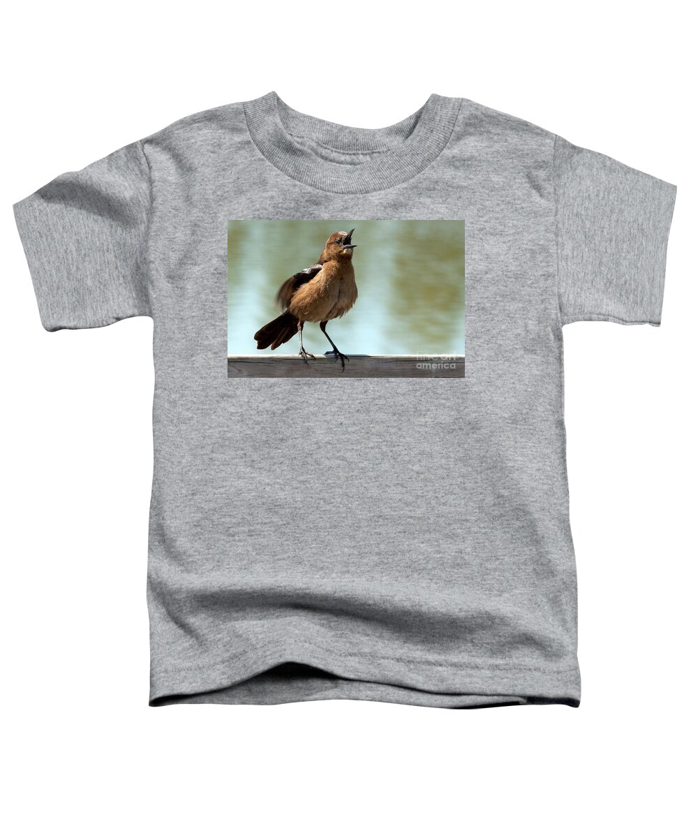 Boat-tailed Grackle Toddler T-Shirt featuring the photograph Sing Out Loud by Meg Rousher