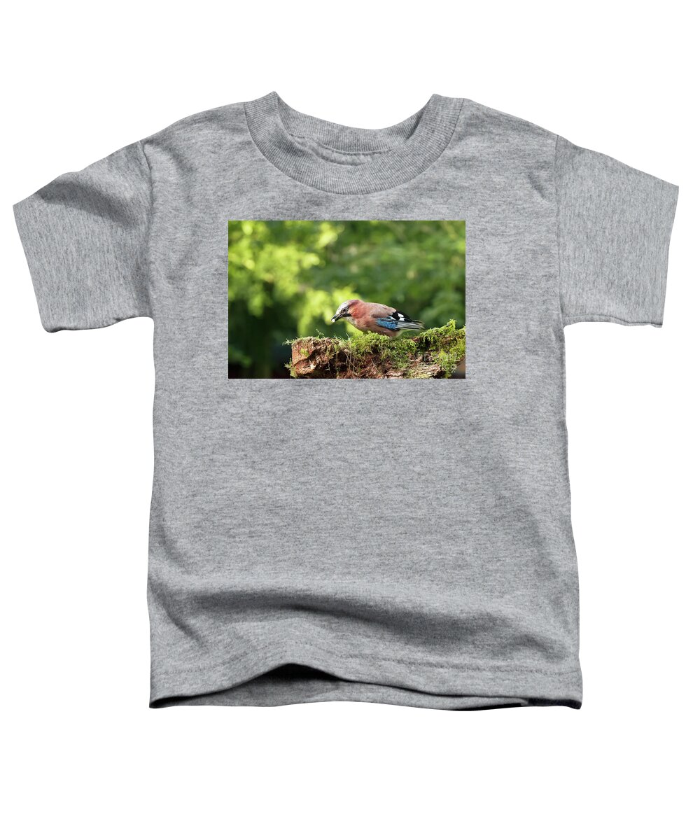 Bird Toddler T-Shirt featuring the photograph Single Jay bird feeding by Simon Bratt