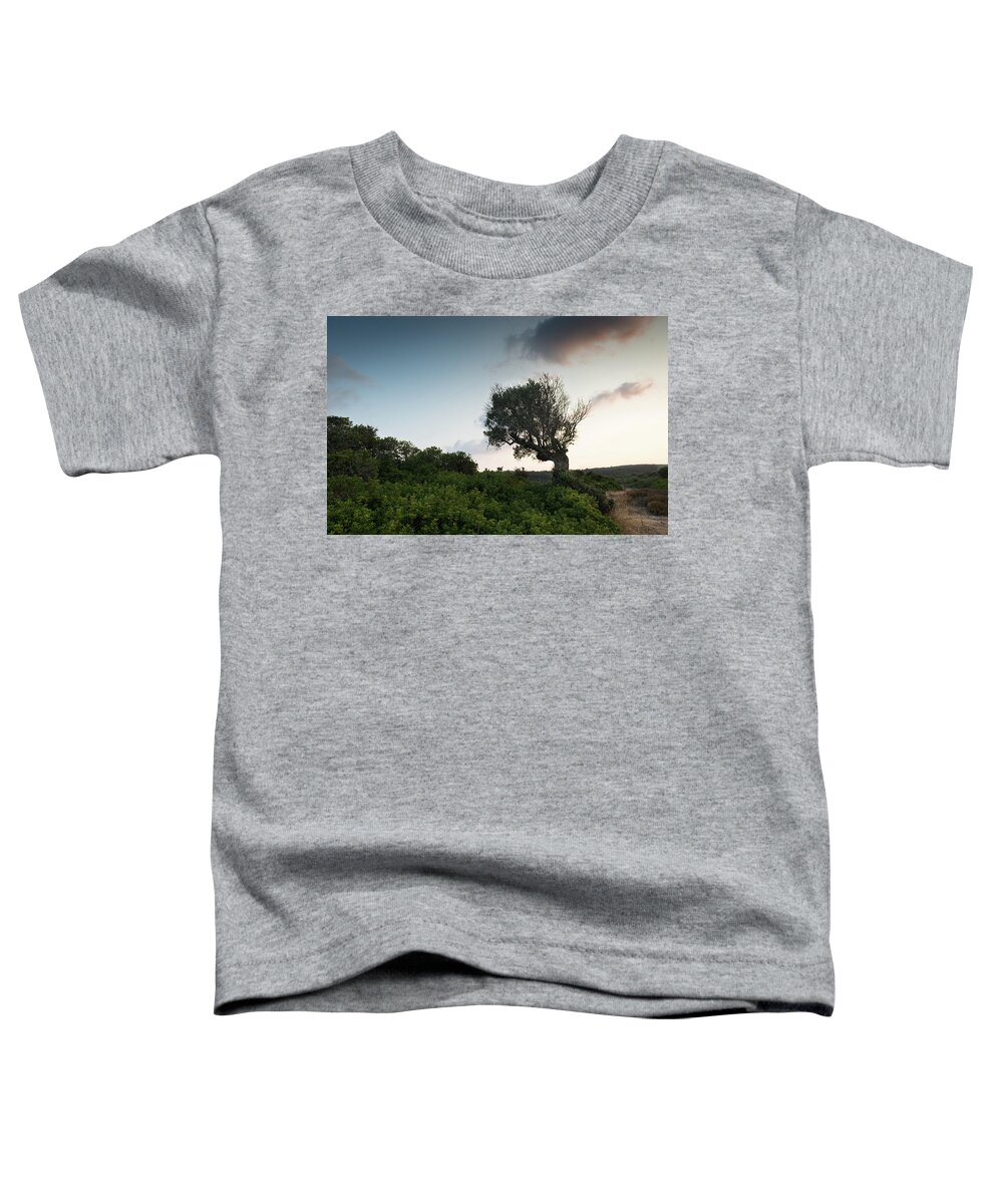 Olive Tree Toddler T-Shirt featuring the photograph Single lonely olive tree in the field during sunset. by Michalakis Ppalis