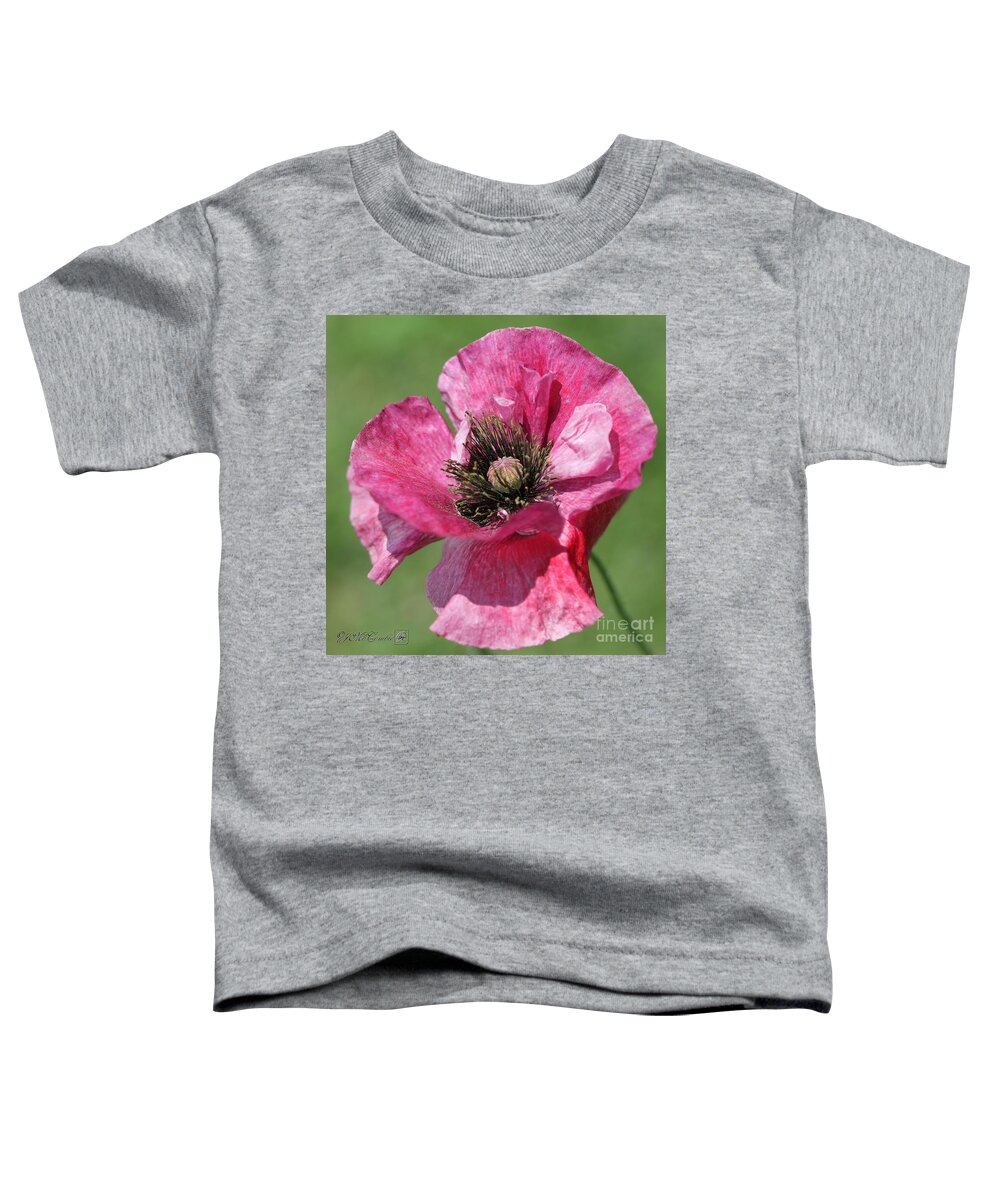 Mccombie Toddler T-Shirt featuring the photograph Single Merlot Rose Wine Poppy from the Angel's Choir Mix by J McCombie