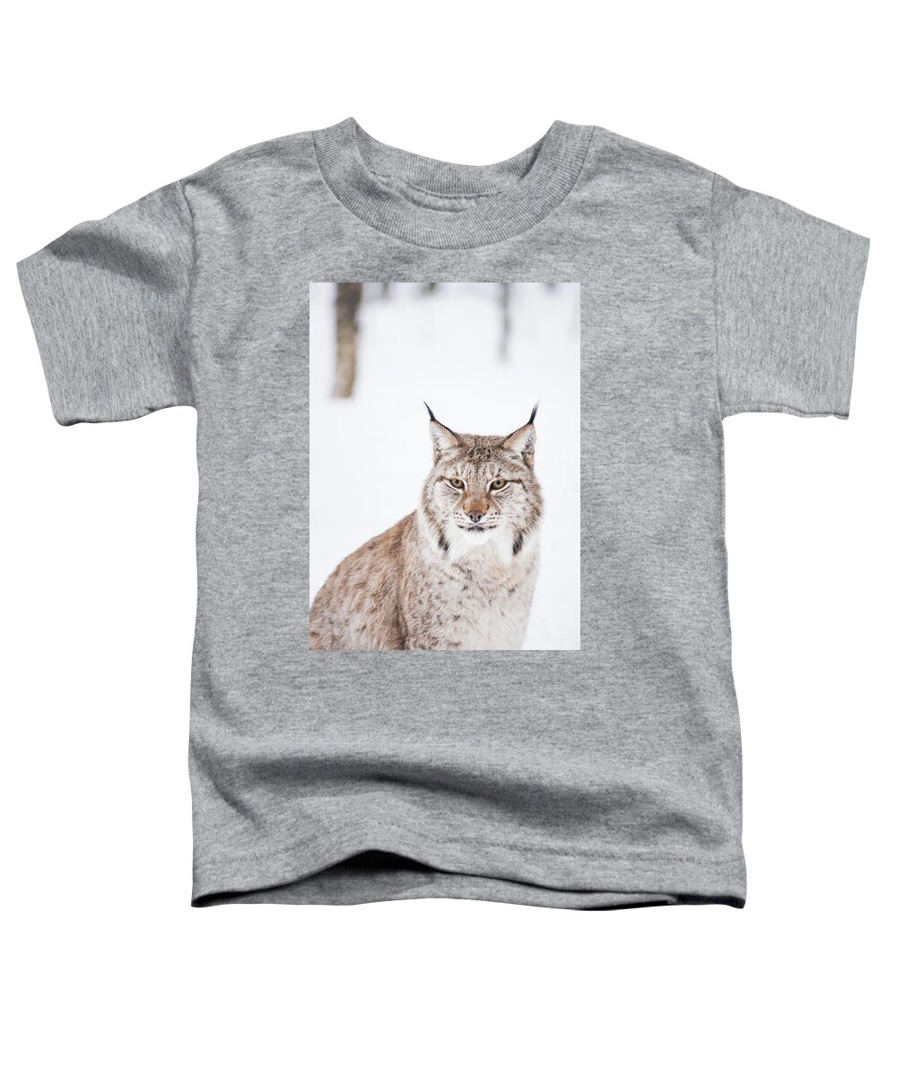 Norway Toddler T-Shirt featuring the photograph Sitting Pretty by Alex Lapidus