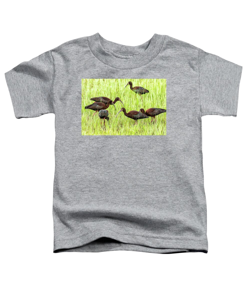 White-faced Ibis Toddler T-Shirt featuring the photograph Six White-Faced Ibis in Breeding Plumage by Belinda Greb