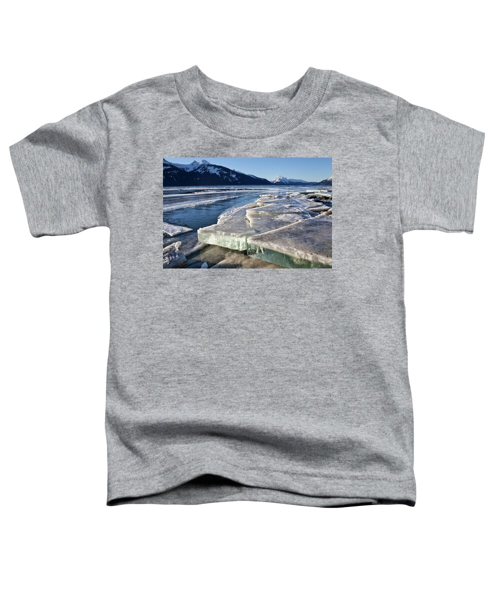 Alaska Toddler T-Shirt featuring the photograph Slabs of Ice by Michele Cornelius