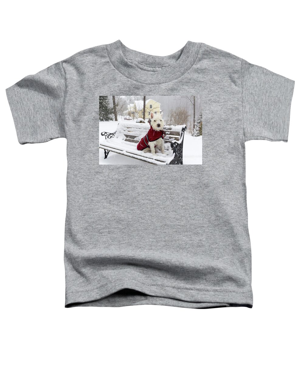 Dog Toddler T-Shirt featuring the photograph Small Dog Park Bench Snow Storm by Edward Fielding