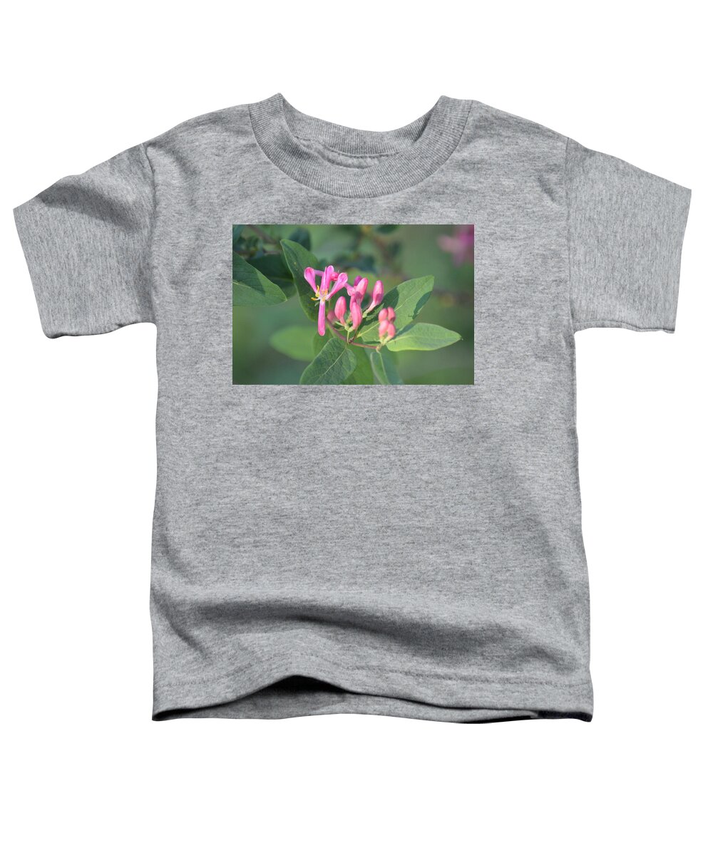 Nature Toddler T-Shirt featuring the photograph Small Purple Spring Flowers by Jimi Bush