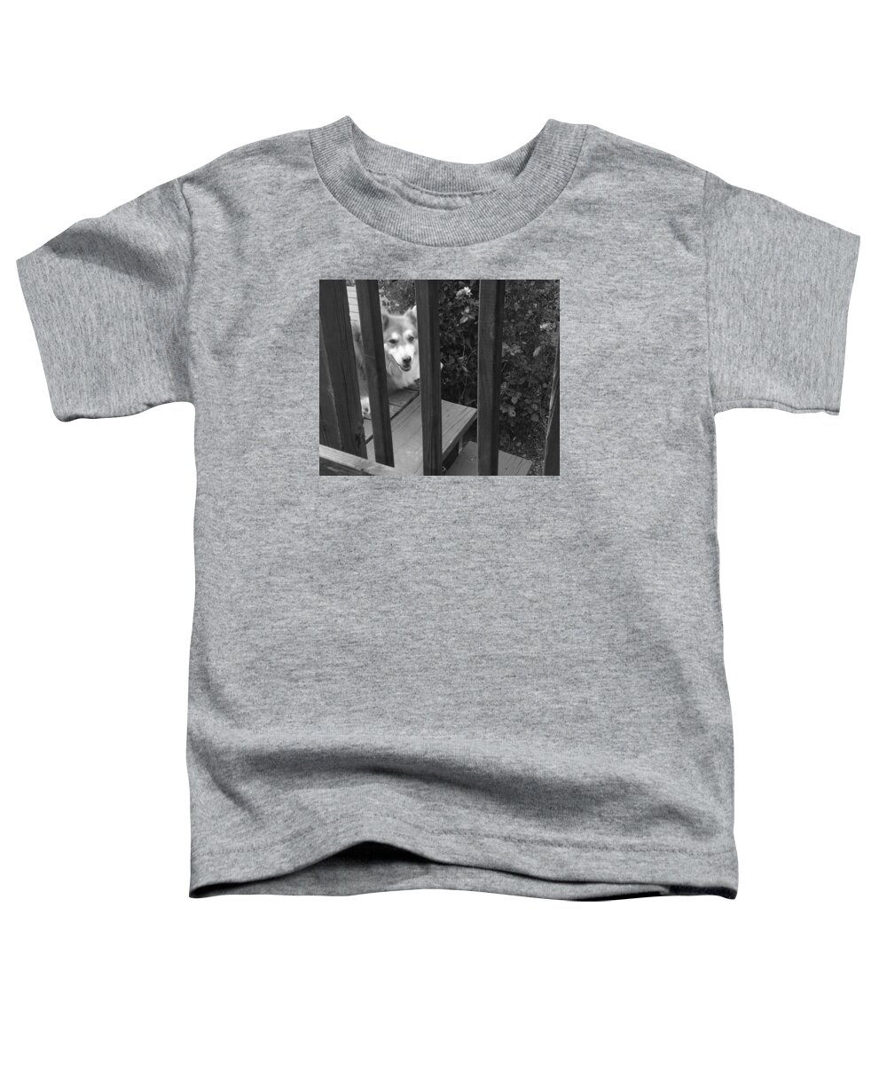 Husky Toddler T-Shirt featuring the photograph Smiling Dog by Brad Nellis