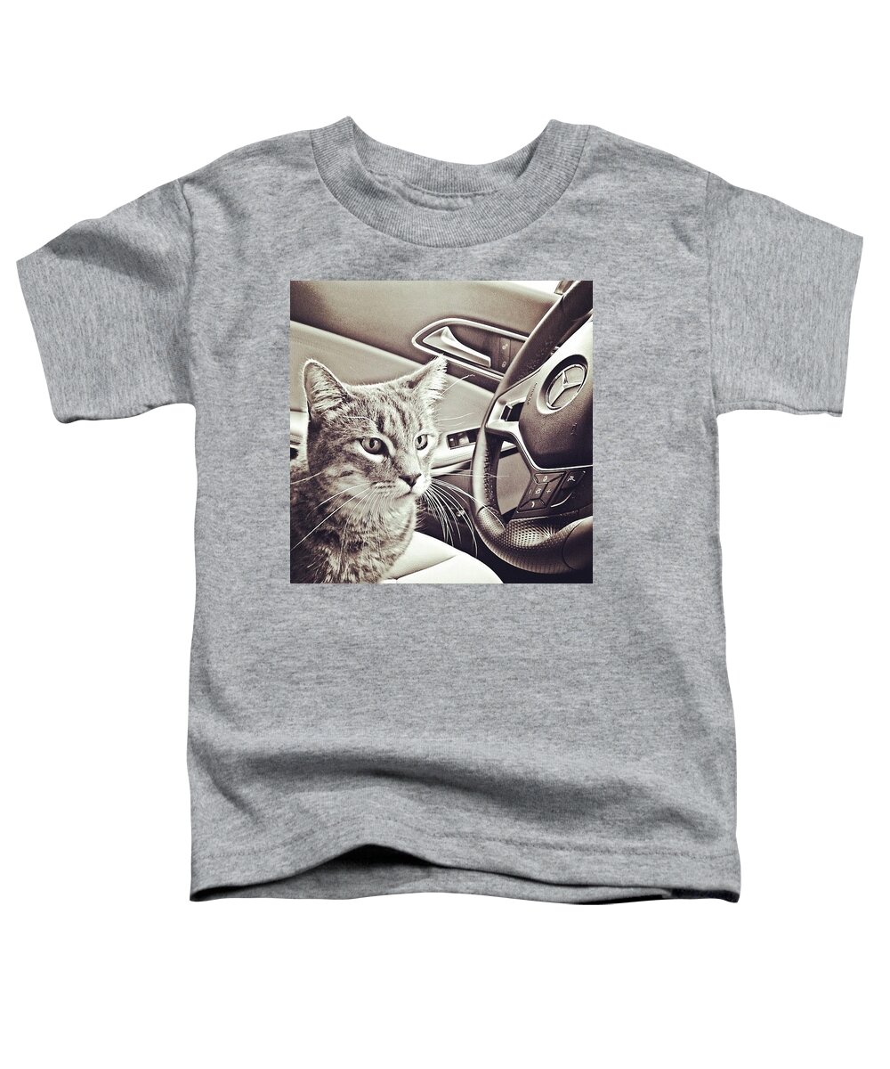 Beautiful Toddler T-Shirt featuring the photograph Smokey Loves The Mercedes Cla Too! by Austin Tuxedo Cat