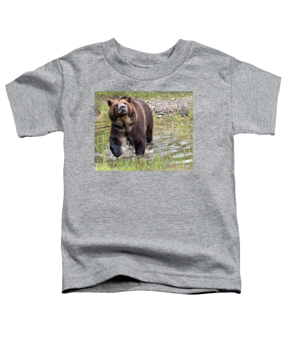 Bear Toddler T-Shirt featuring the photograph Sniff by Art Cole