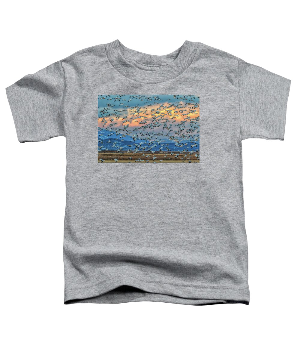California Toddler T-Shirt featuring the photograph Snow Geese and Clouds by Marc Crumpler