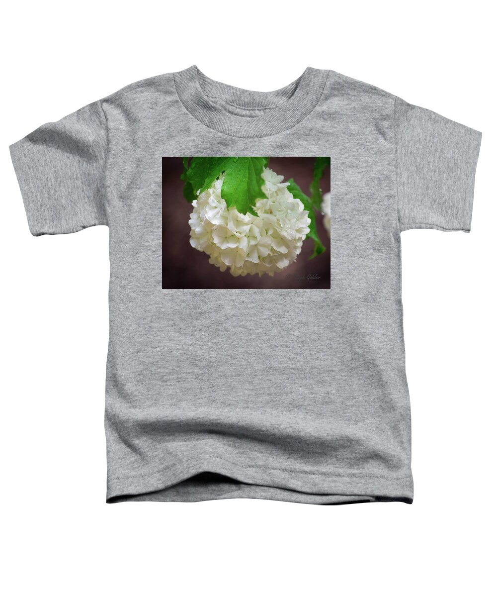 Wet Toddler T-Shirt featuring the photograph Snowball Bloom by Steph Gabler