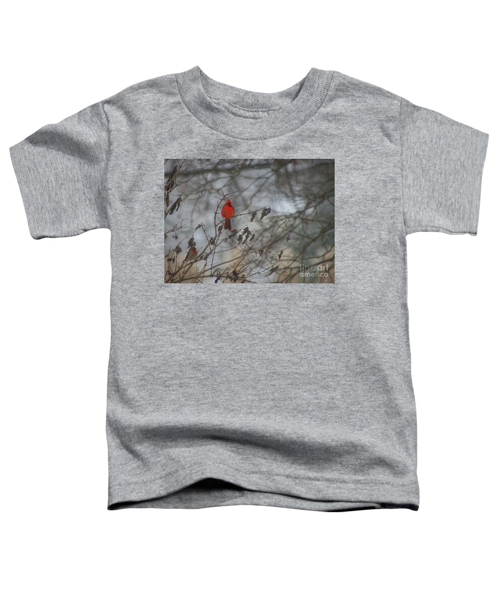 Cardinal Toddler T-Shirt featuring the photograph Snowy Day Cardinal by Ty Shults