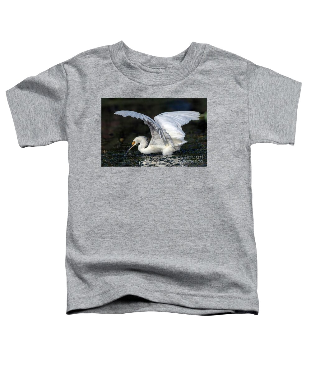 Birds Toddler T-Shirt featuring the photograph Snowy Egret Fishing by DB Hayes