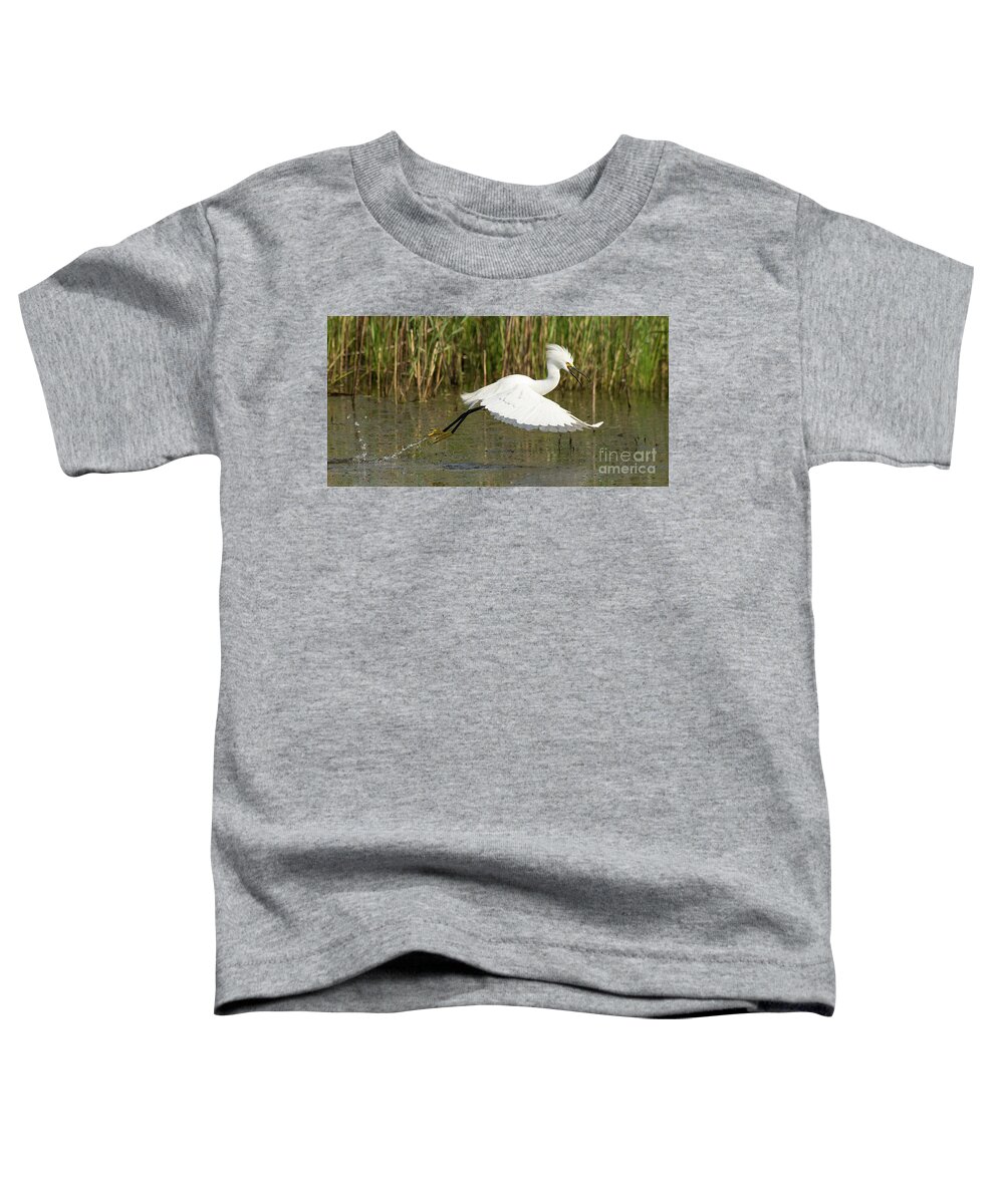 Bird Toddler T-Shirt featuring the photograph Snowy Egret Taking Flight by Dennis Hammer