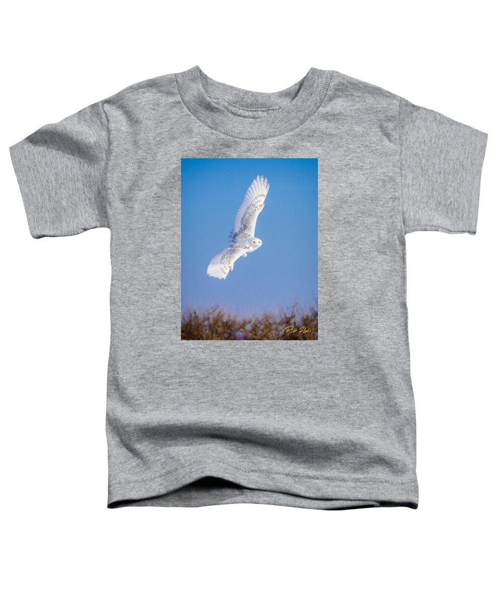 Animals Toddler T-Shirt featuring the photograph Snowy Owl Banking by Rikk Flohr