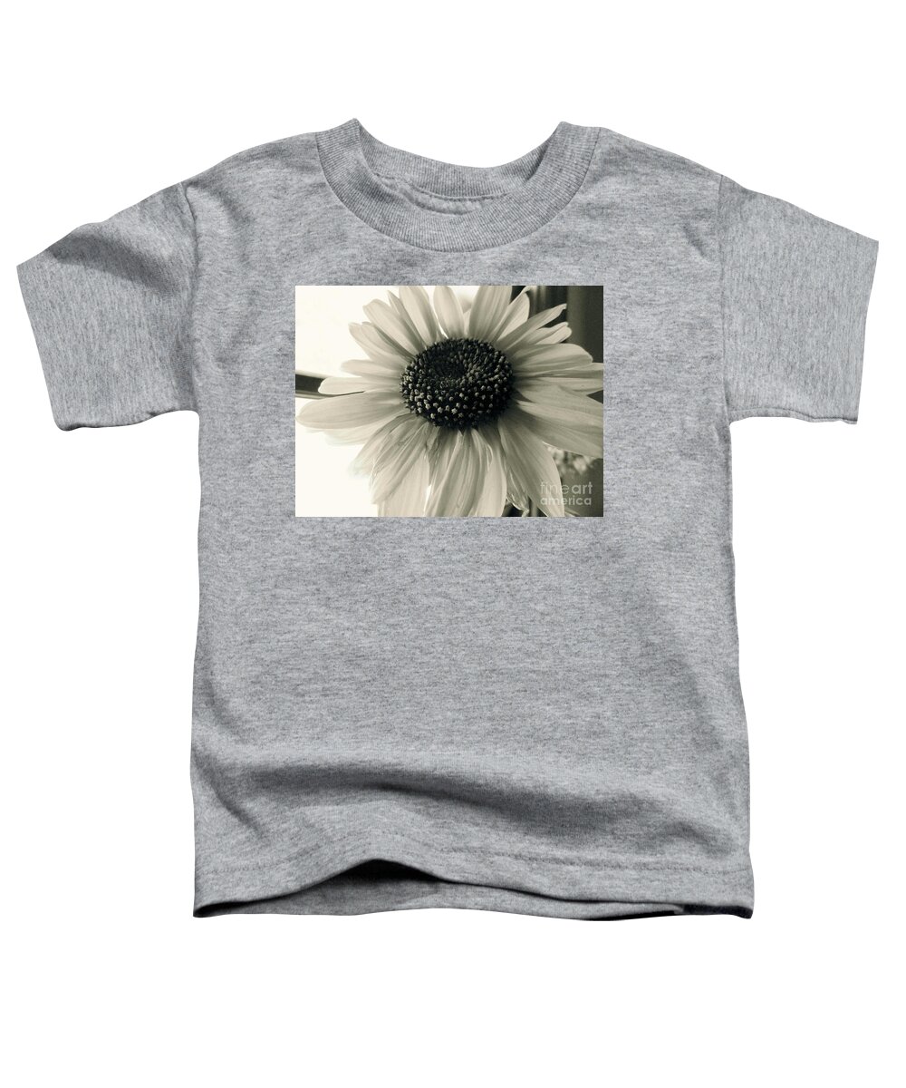 Bandon Beach Toddler T-Shirt featuring the photograph Soft White Light by Trish Hale
