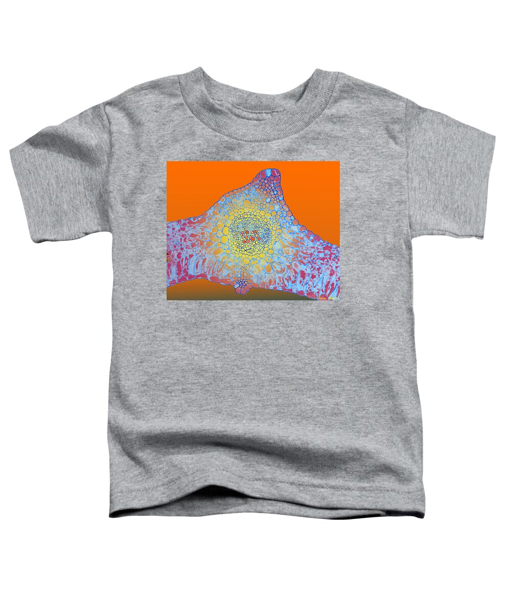 Microscopic Abstract Toddler T-Shirt featuring the photograph Solar Cells by Rein Nomm
