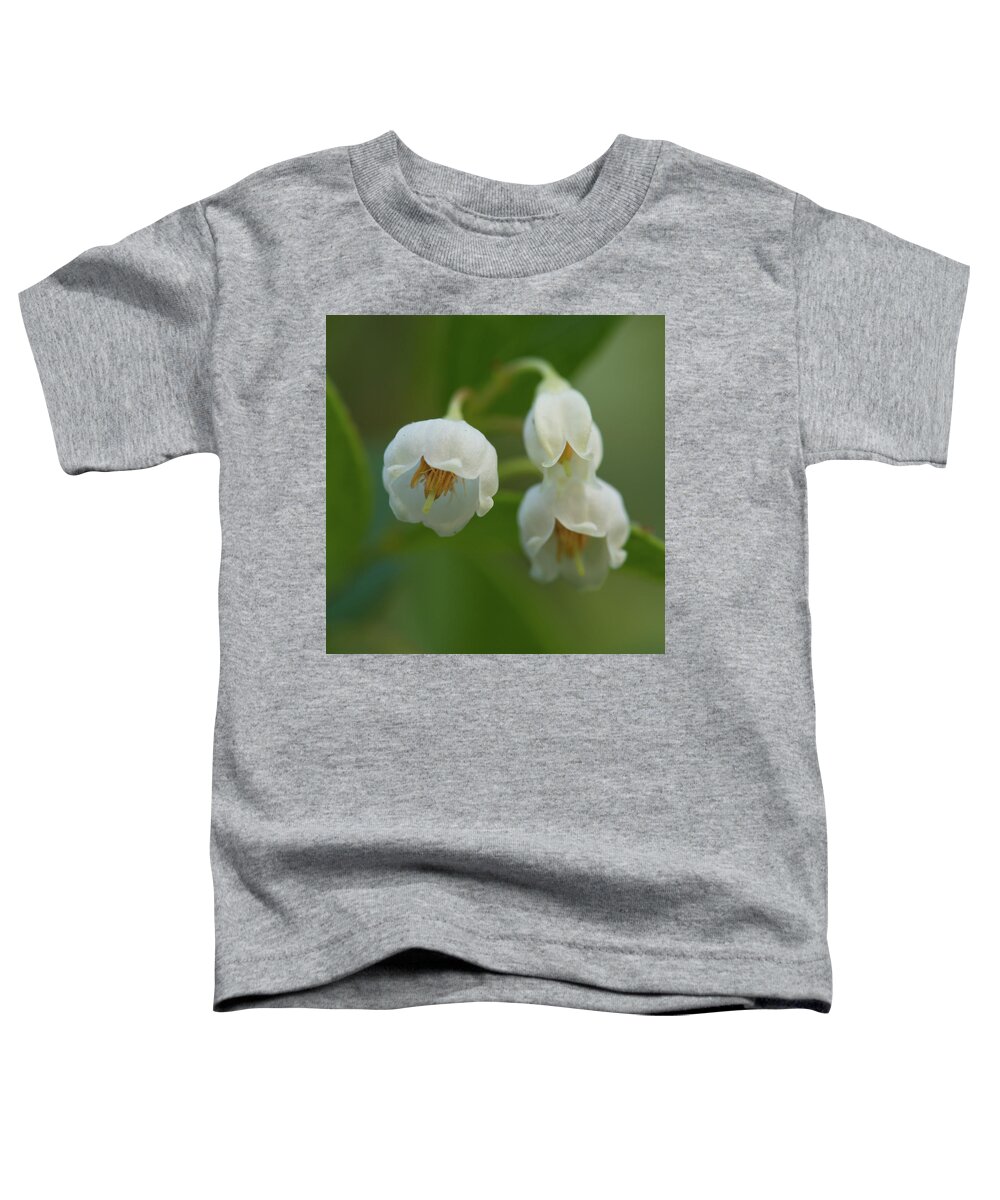 Vaccinium Arboreum Toddler T-Shirt featuring the photograph Sparkleberry Trio by Paul Rebmann
