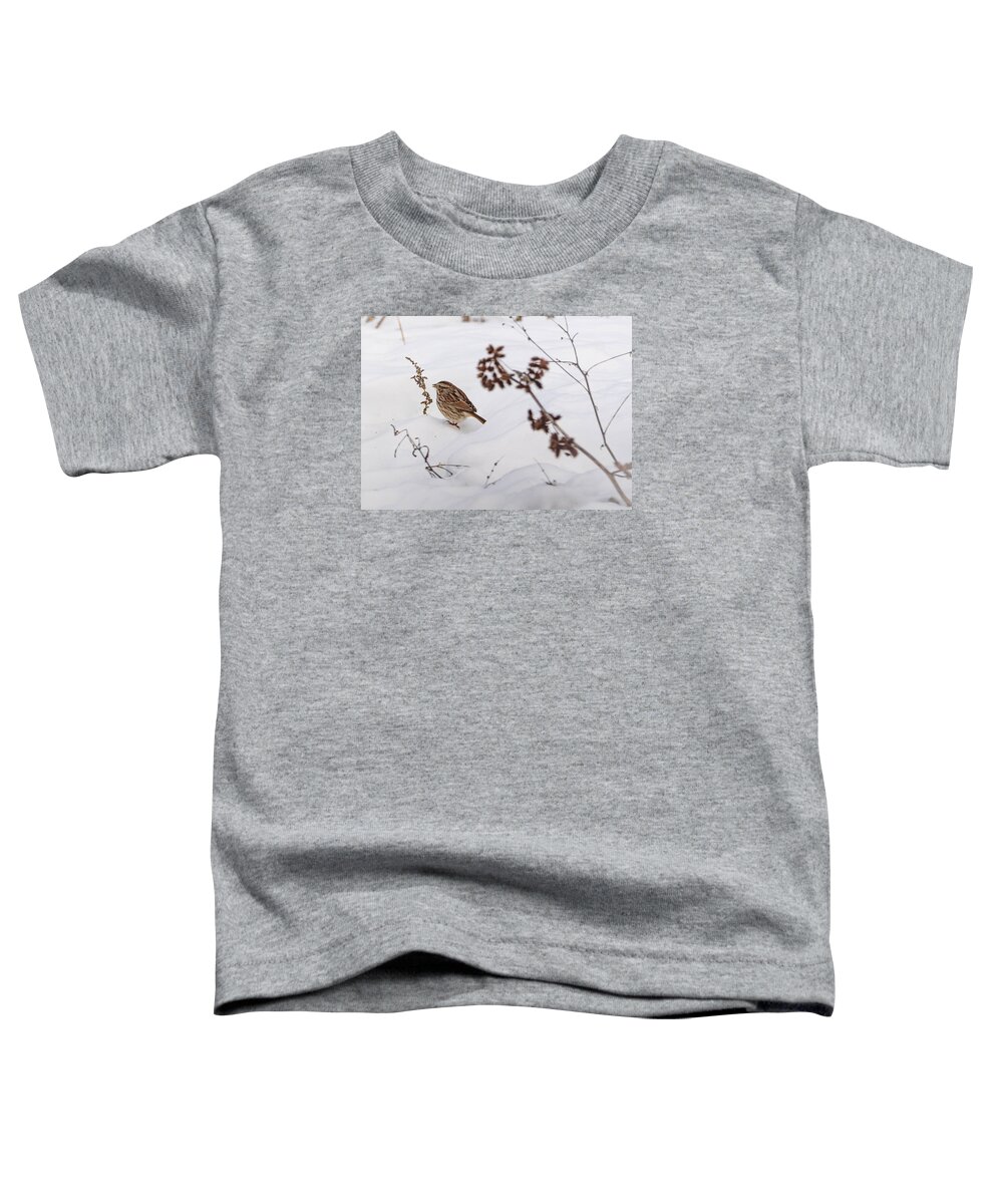 Song Sparrow Toddler T-Shirt featuring the photograph Sparrow in the Winter snow by Holden The Moment