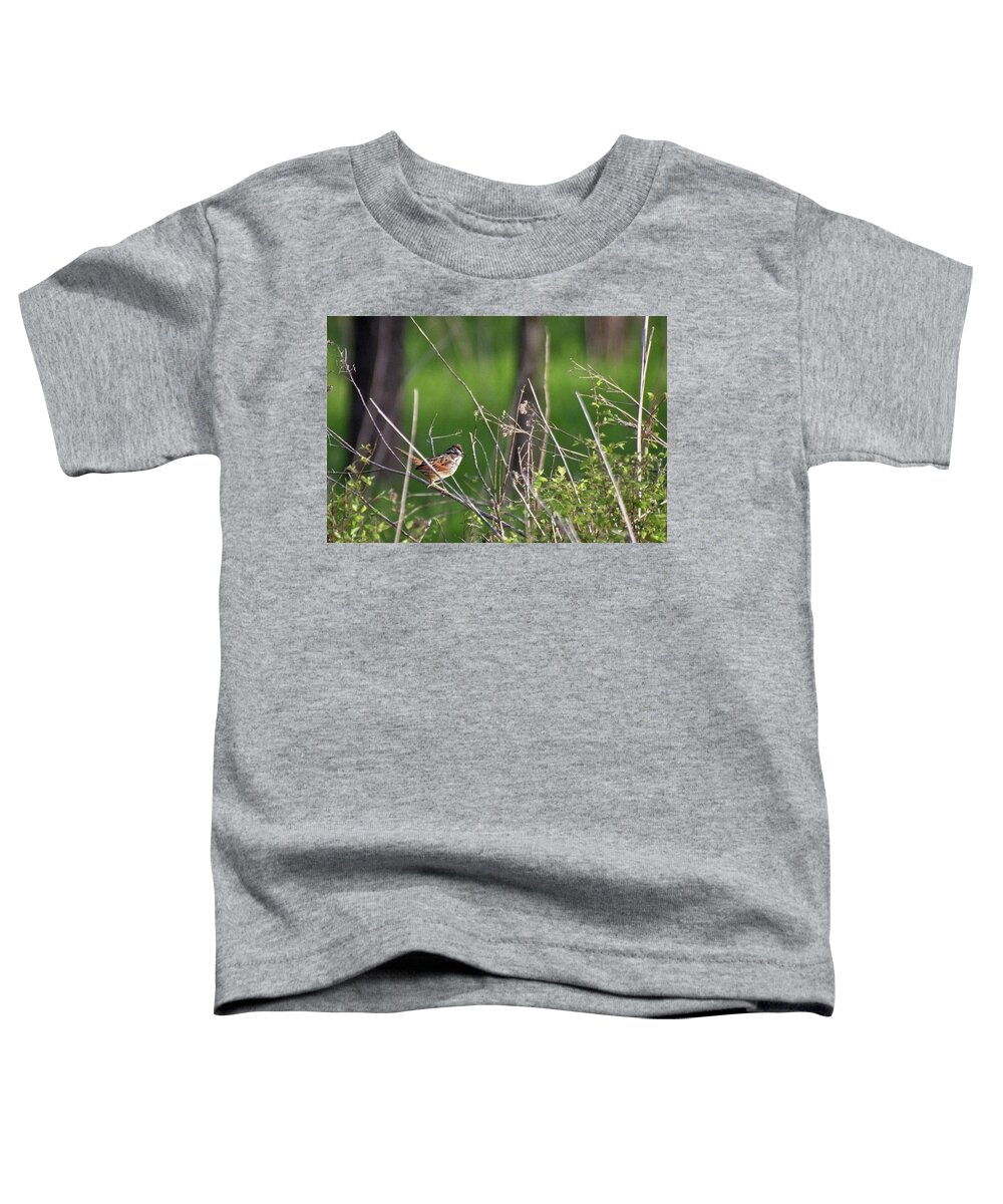 Wildlife Toddler T-Shirt featuring the photograph Sparrow On A Branch by John Benedict