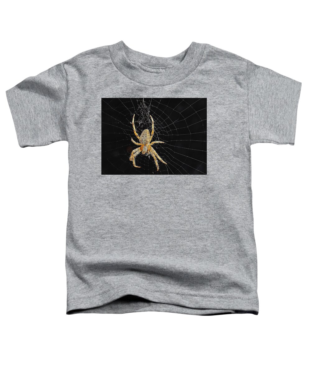 Spider Toddler T-Shirt featuring the photograph Spider and Web by Jeff Townsend