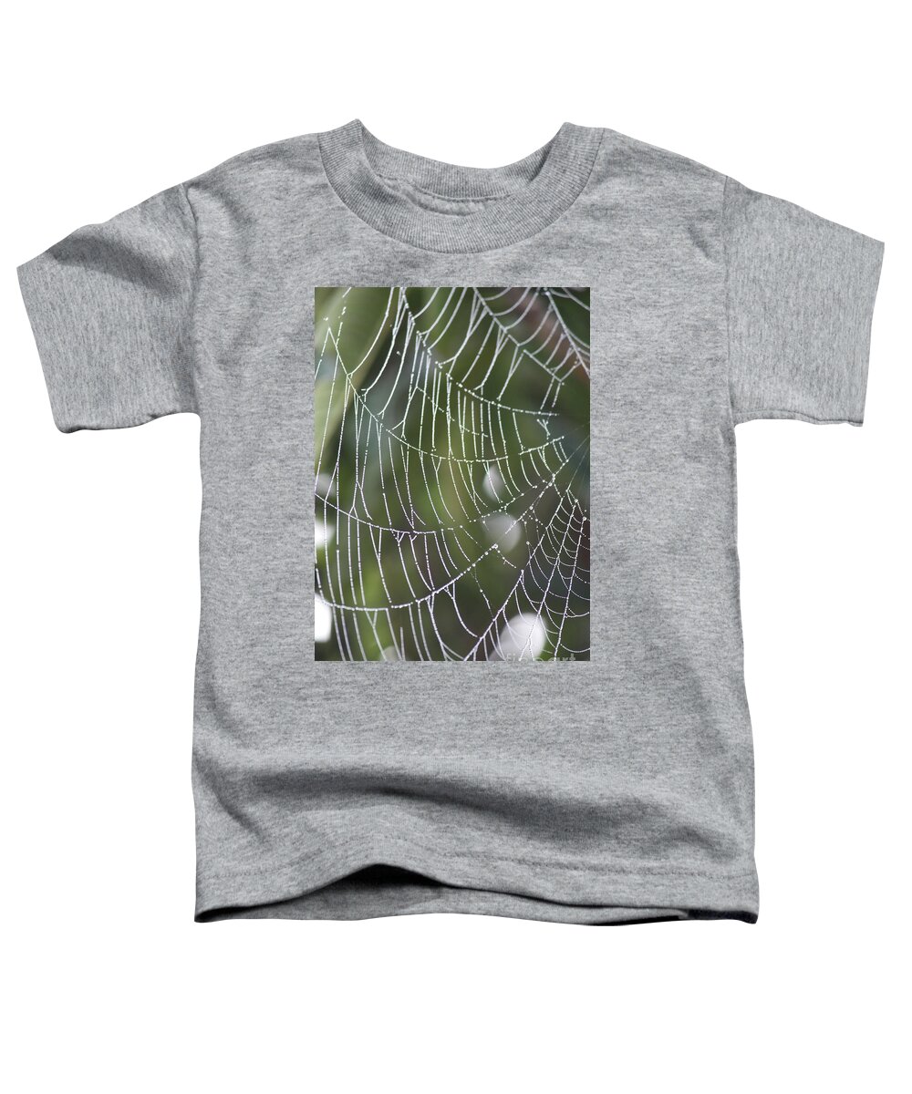Spider Web Toddler T-Shirt featuring the photograph Spider Web with Bokeh by Carol Groenen