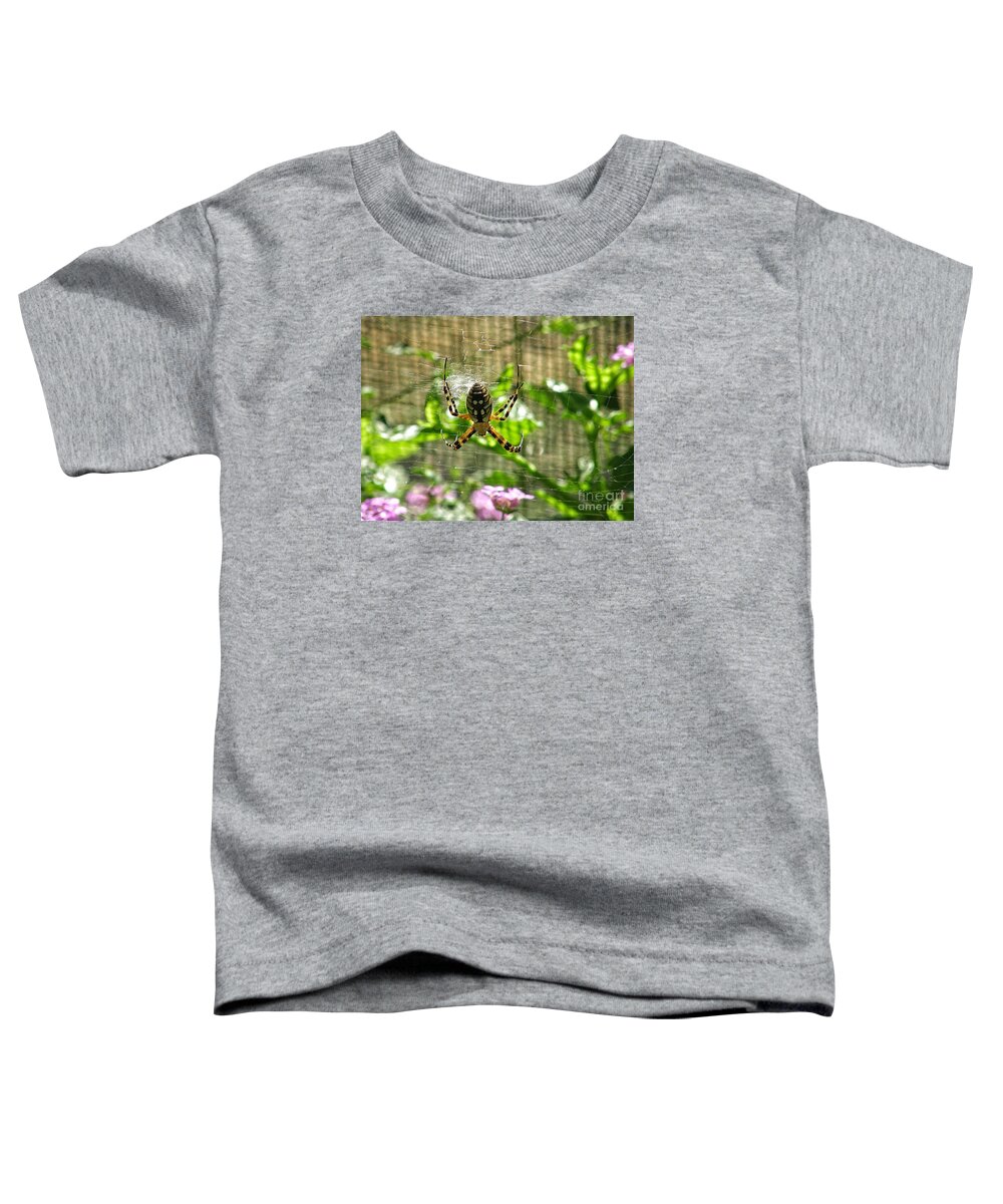 Spider With Big Abdomen Toddler T-Shirt featuring the photograph Spider With Nice Abs by Leah McPhail