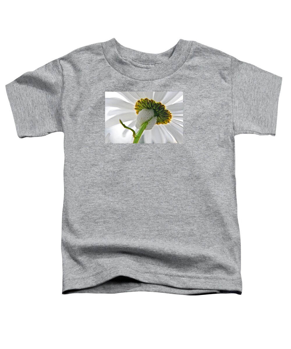 Adria Trail Toddler T-Shirt featuring the photograph Spittle Bug Umbrella by Adria Trail