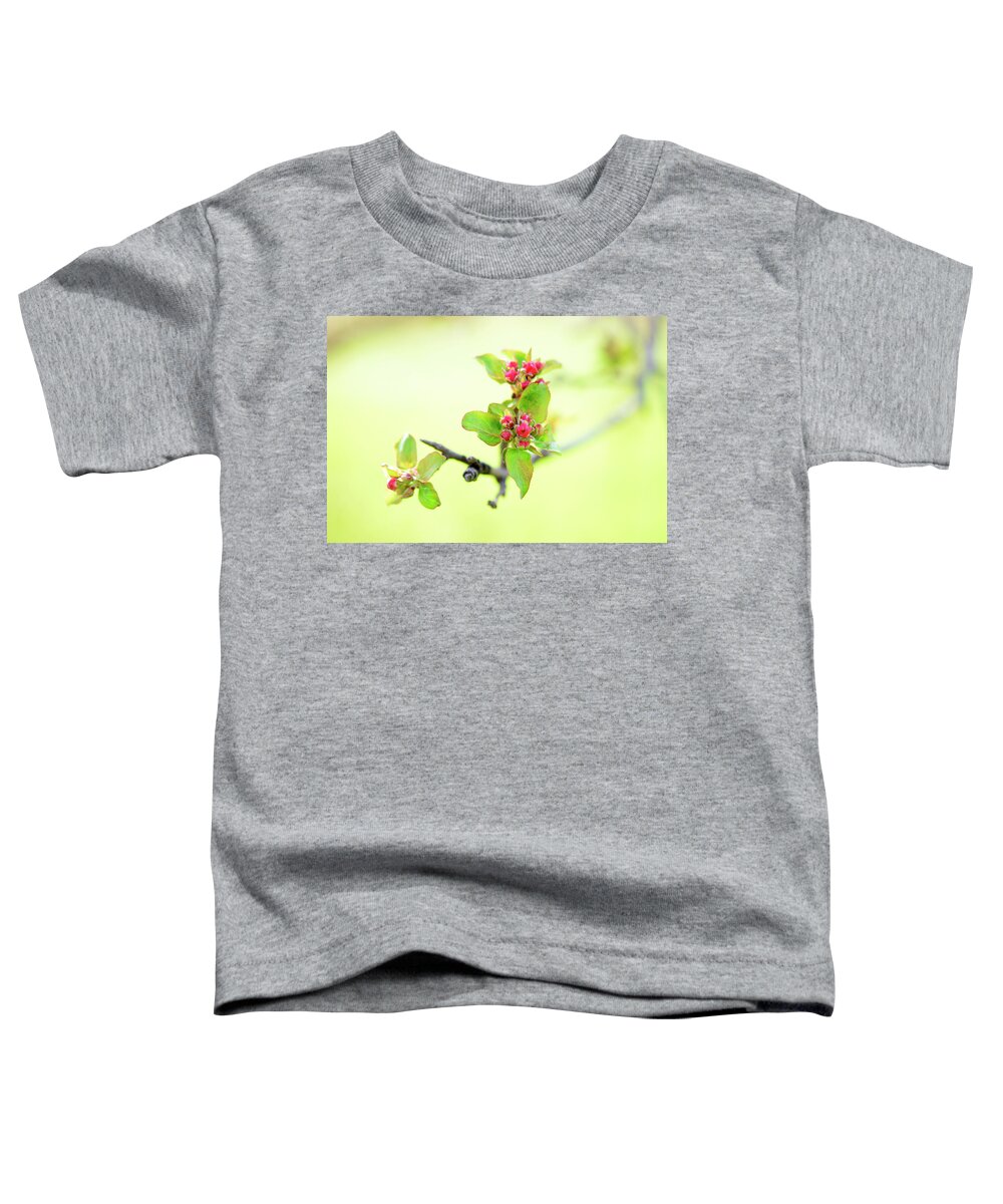 Spring Toddler T-Shirt featuring the photograph Spring Hope by Linda L Brobeck