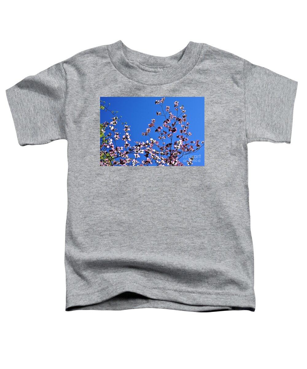 Springtime Toddler T-Shirt featuring the photograph Spring in Louisville by Merle Grenz