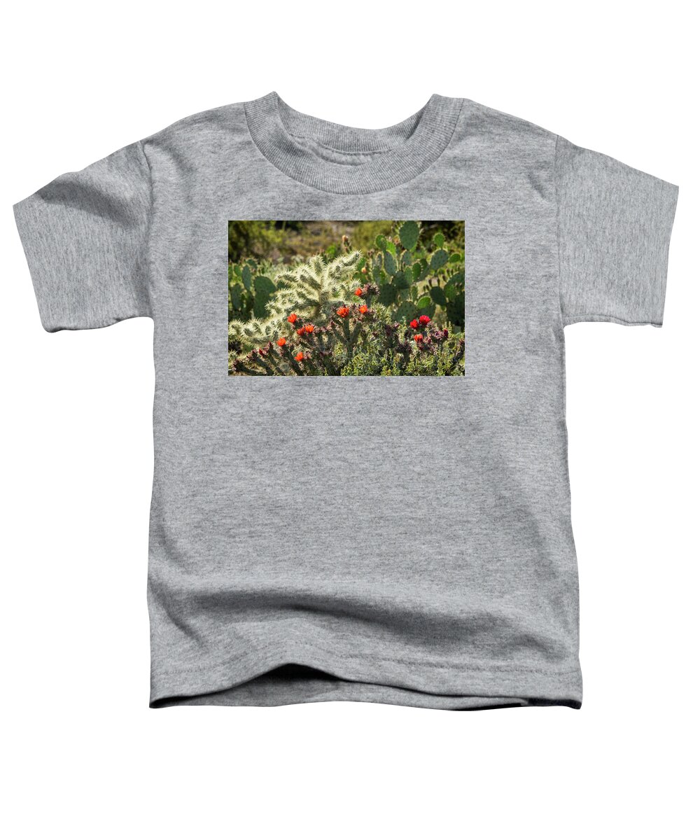 Cholla Cactus Toddler T-Shirt featuring the photograph Spring in the Sonoran by Saija Lehtonen