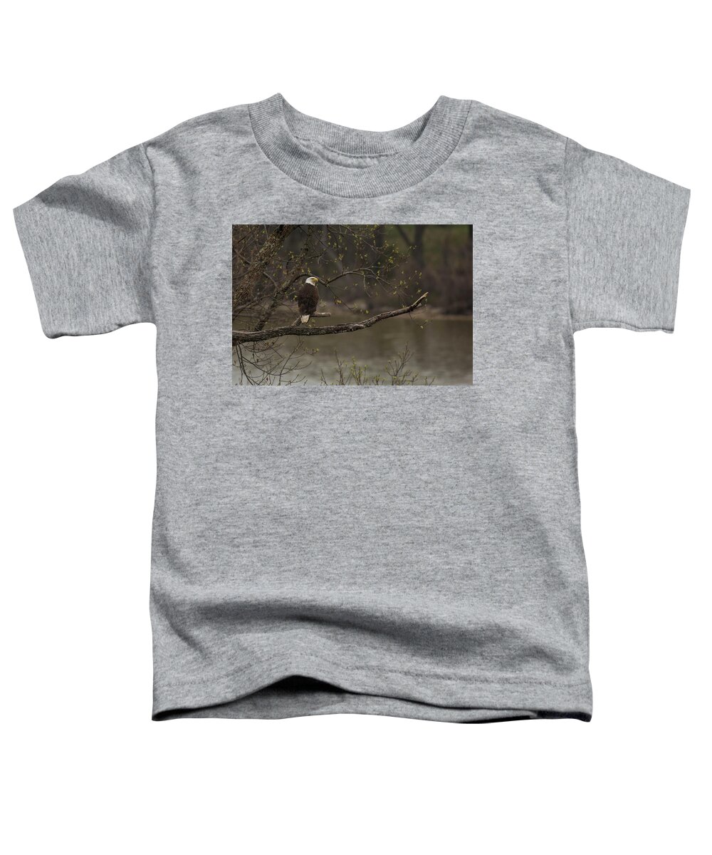 Bird Toddler T-Shirt featuring the photograph Spring on the Potomac by Jody Partin