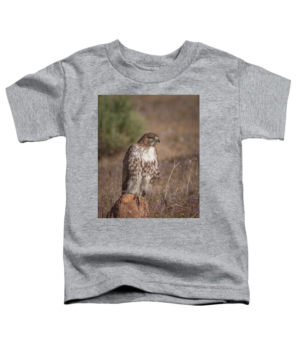 Red Tailed Hawk Toddler T-Shirt featuring the photograph Spring Red Tailed Hawk 2 by Rick Mosher