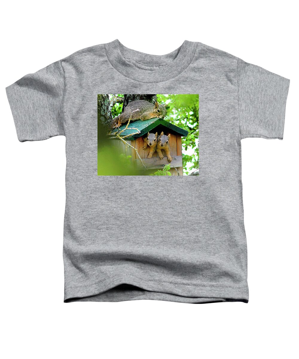 Squirrel Toddler T-Shirt featuring the photograph Squirrel Family Portrait by Ted Keller