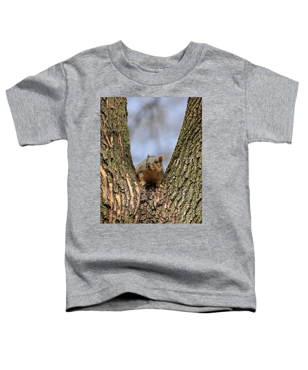  Theresa Campbell Toddler T-Shirt featuring the photograph Squirrel In Tree Fork by Theresa Campbell