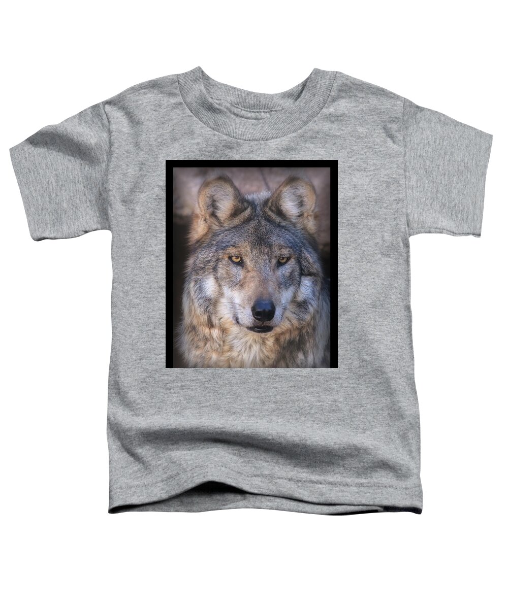 Wolf Toddler T-Shirt featuring the photograph Stare Down By Sancho by Elaine Malott
