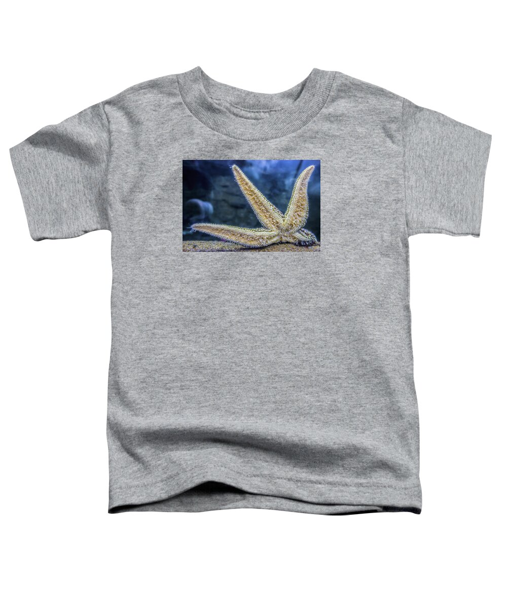 Fish Toddler T-Shirt featuring the photograph Starfish Stuck on Glass by Jennifer Rondinelli Reilly - Fine Art Photography