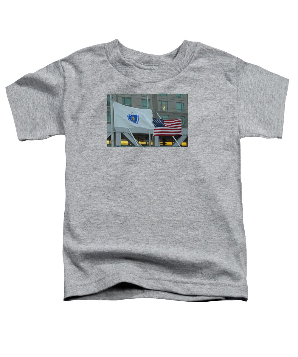 Flags Toddler T-Shirt featuring the photograph State and Country by Barbara McDevitt