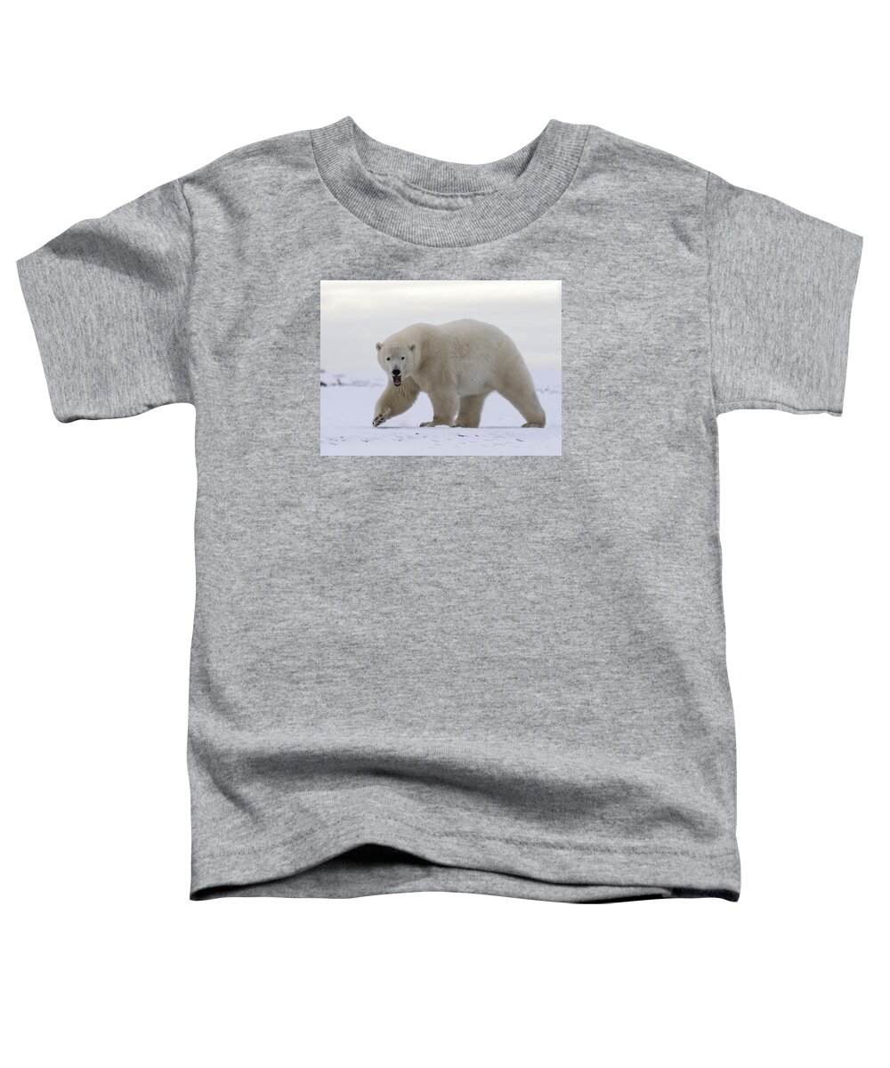 Animal Toddler T-Shirt featuring the photograph Stepping Out in the Arctic by Cheryl Strahl