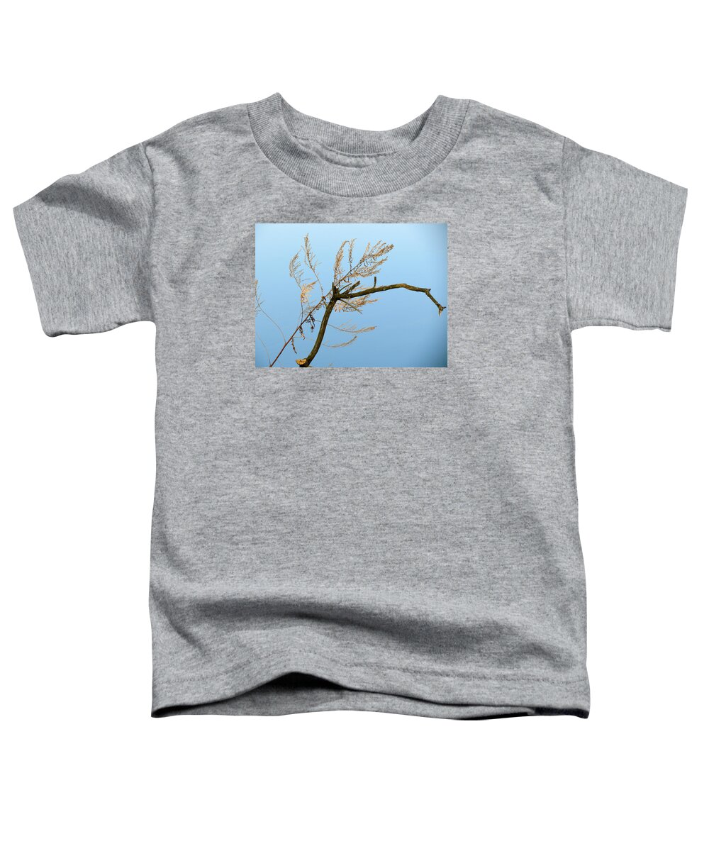Blue Sky Toddler T-Shirt featuring the photograph Sticks by Azthet Photography