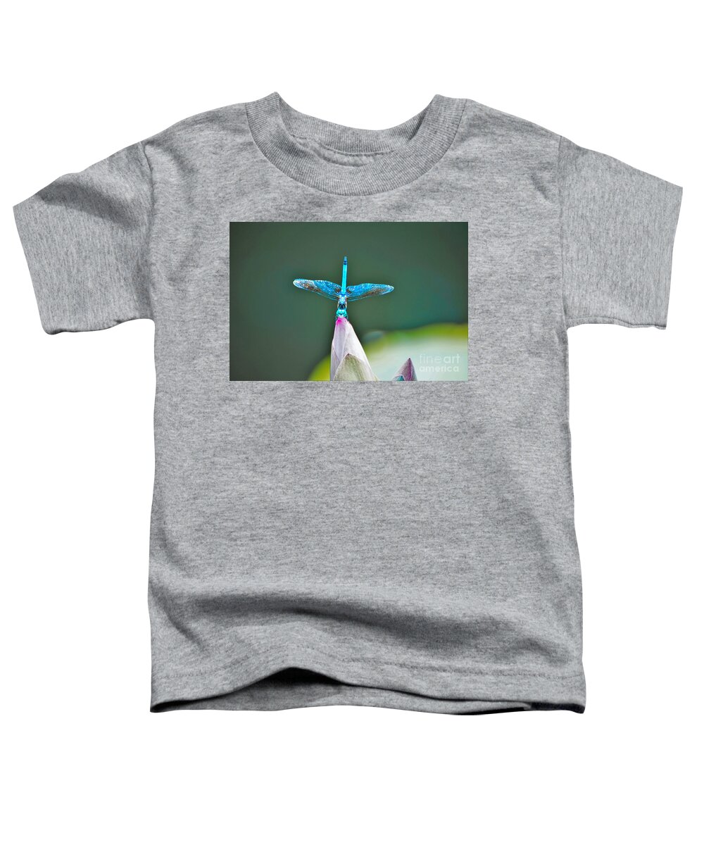 Dragonfly Toddler T-Shirt featuring the photograph Straight up by Merle Grenz