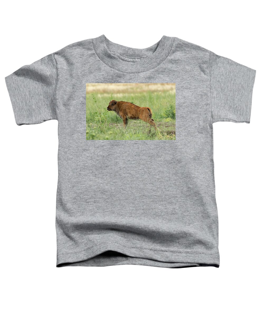 Bison Toddler T-Shirt featuring the photograph Stretch by Ronnie And Frances Howard