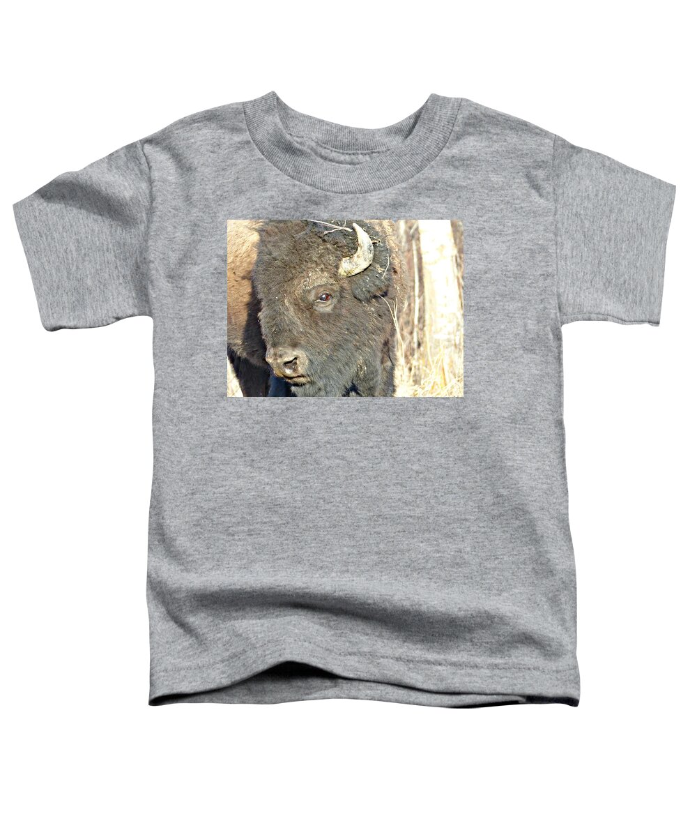 Bison Toddler T-Shirt featuring the photograph Strike a Pose by 'REA' Gallery