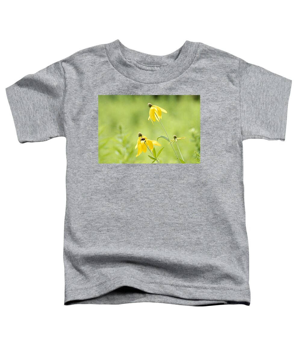 Yellow Mexican Hat Toddler T-Shirt featuring the photograph Summer Flowers by Larry Ricker