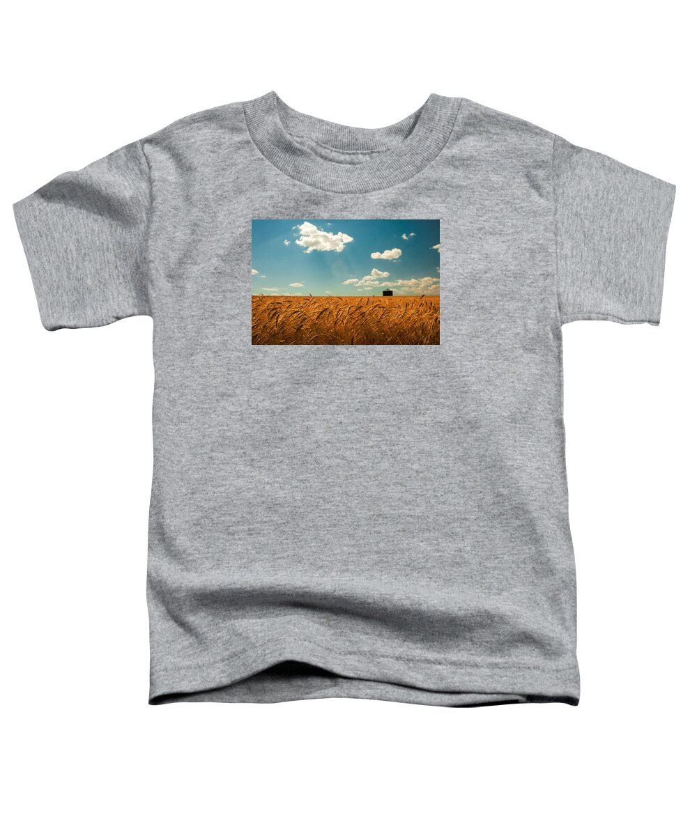 Landscape Toddler T-Shirt featuring the photograph Summer Respit by Todd Klassy