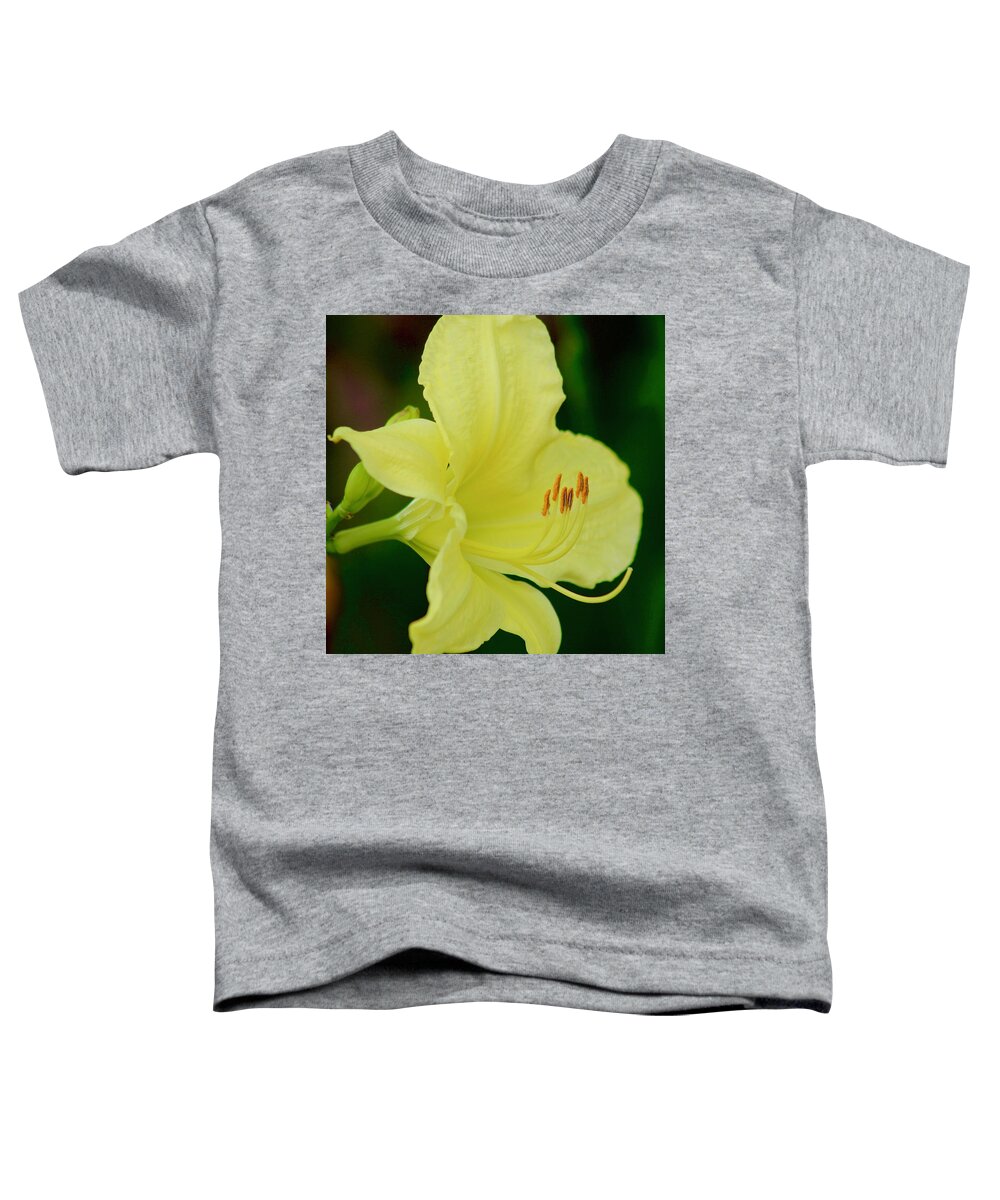 Photograph Toddler T-Shirt featuring the photograph Sun Licking Yellow Day Lily by M E