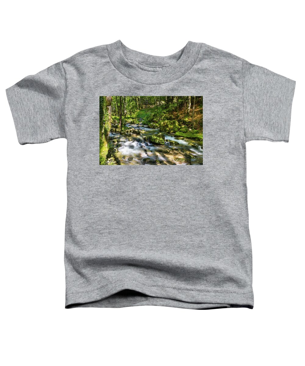 Torrent Toddler T-Shirt featuring the photograph Sunny afternoon under the trees - 2 by Paul MAURICE
