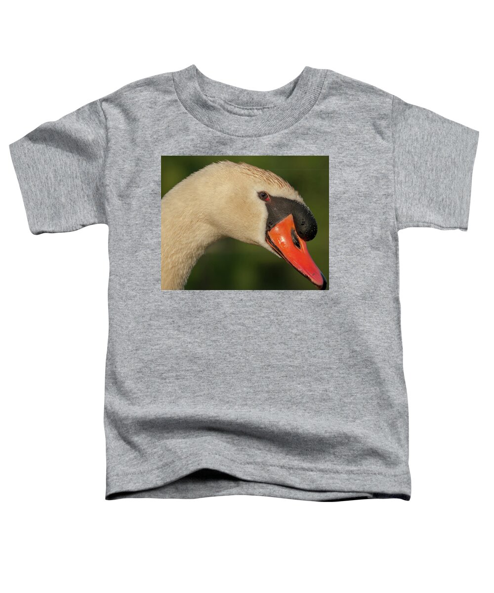 Bird Toddler T-Shirt featuring the photograph Swan Headshot by Paul Johnson
